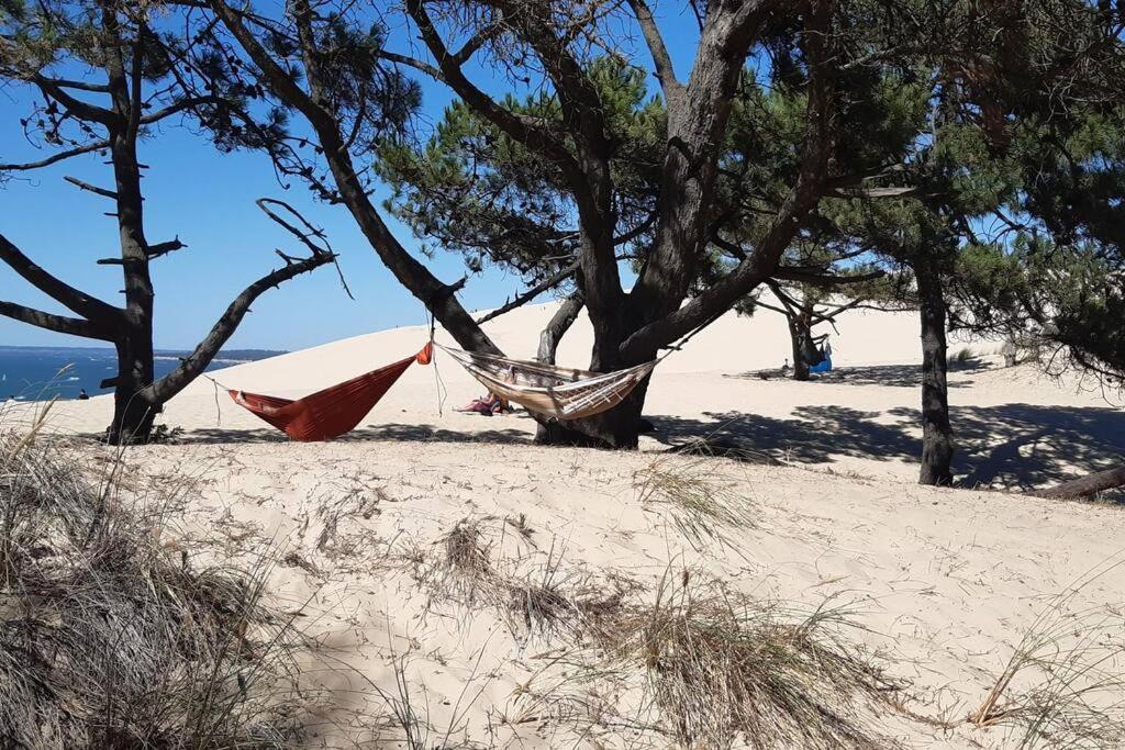 Mon Petit Coin Sous Les Pins Holiday home
