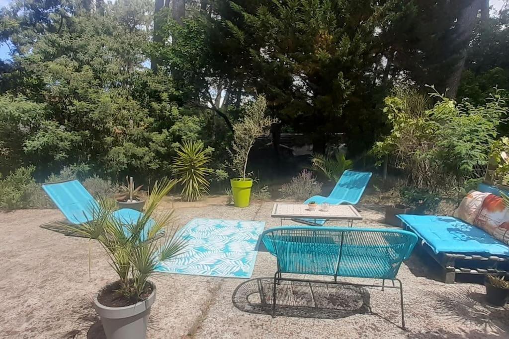 Mon Petit Coin Sous Les Pins Ferienhaus